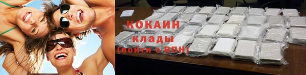 прущие грибы Абинск
