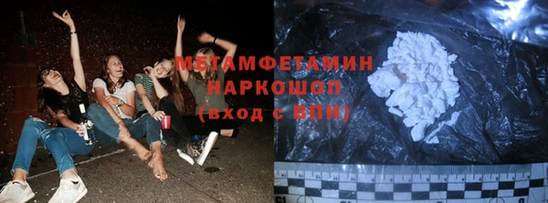 прущие грибы Абинск