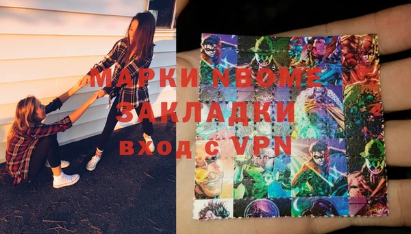 прущие грибы Абинск