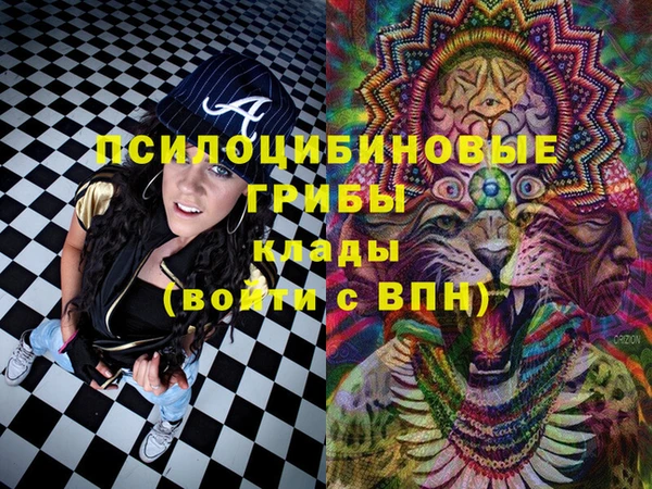 прущие грибы Абинск