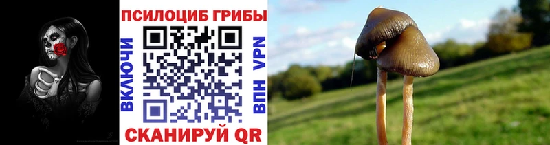 Псилоцибиновые грибы MAGIC MUSHROOMS  Новотитаровская 